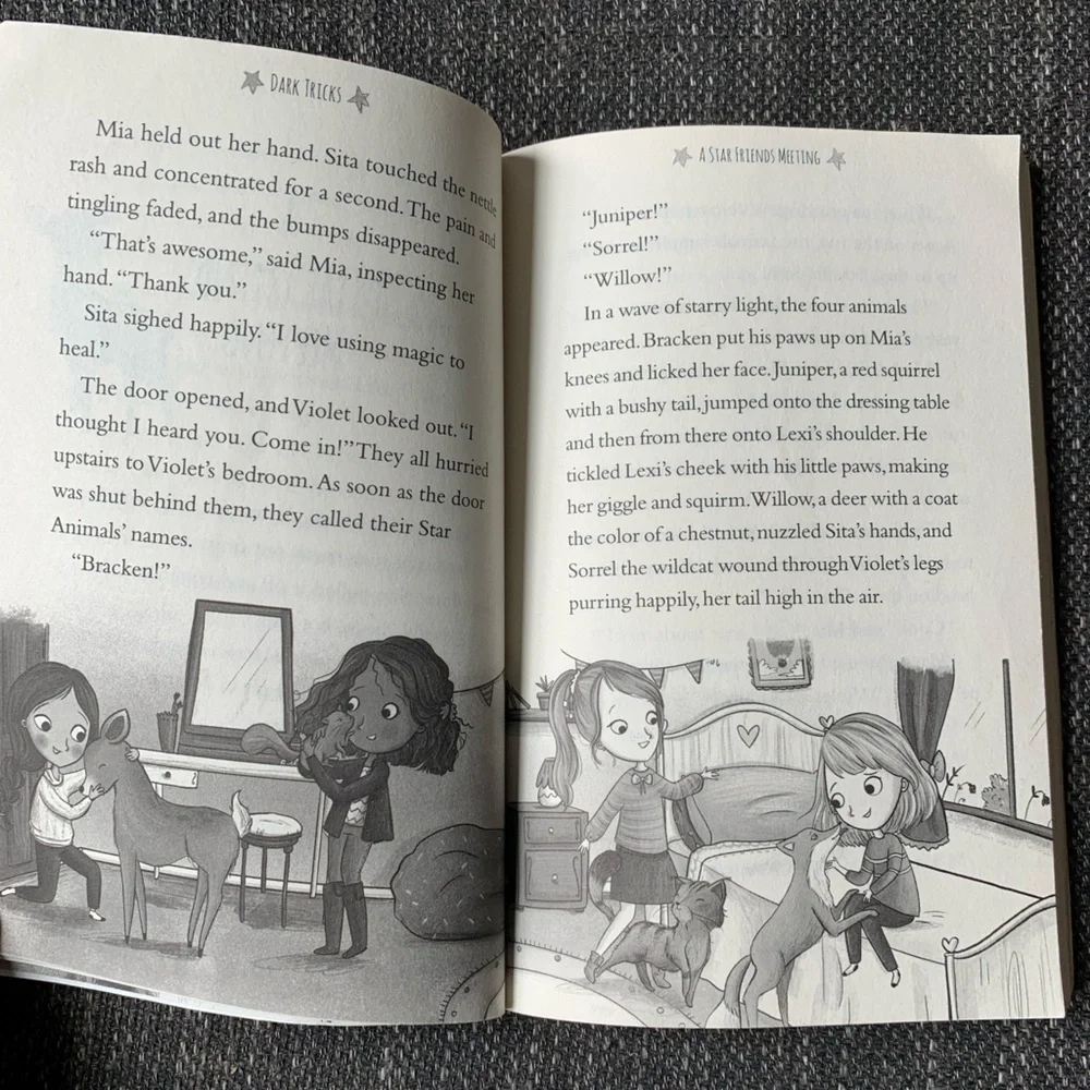 Set of 3 kids chapter books